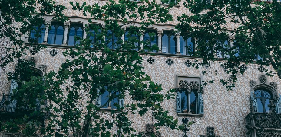 A view of Casa Amatller in Barcelona, featuring its striking stepped gable, ornate patterned facade, and intricate windows, with a tree partially framing the scene under a clear blue sky.