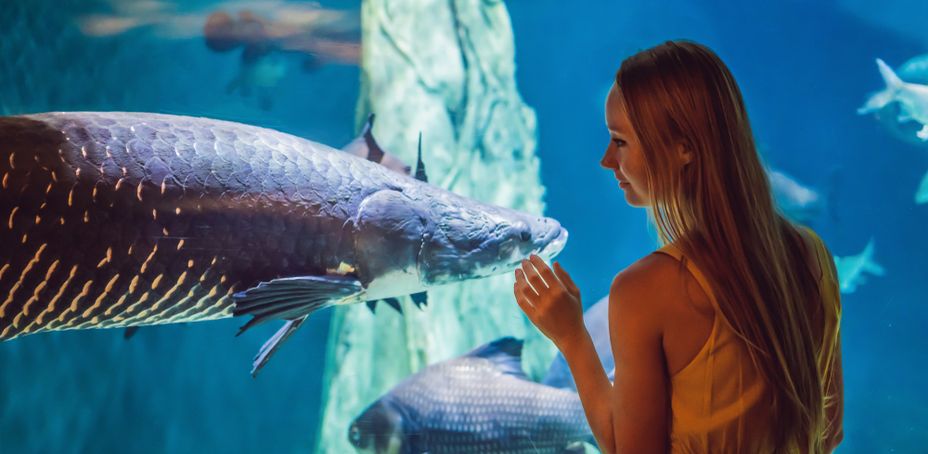 Young woman touches a stingray fish in an oceanarium tunnel